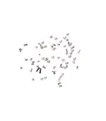 Tornillos para iphone 7/7 Plus
