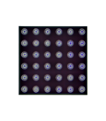 IC Tristar U2 para iPhone SE (2016) / 6S / 6S Plus / (U4500: 1610A3: 36 Pins) - Imagen 2