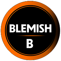 blemish-b