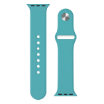 (Aguamarina) (Apple Watch 42/44MM)-Correa de silicona